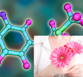 Ormoni per la Salute Mentale Ormoni per la Salute Mentale